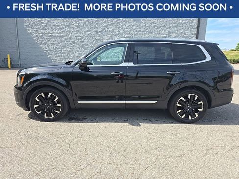 Used 2023 Kia Telluride SX Prestige AWD/4WD image 5