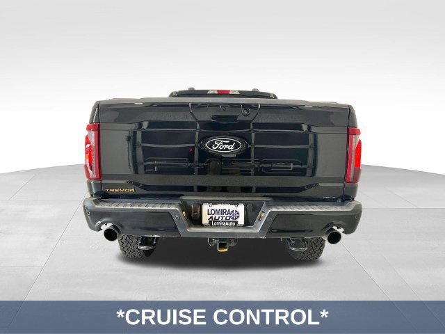 Used 2025 Ford F150 Tremor AWD/4WD image 9