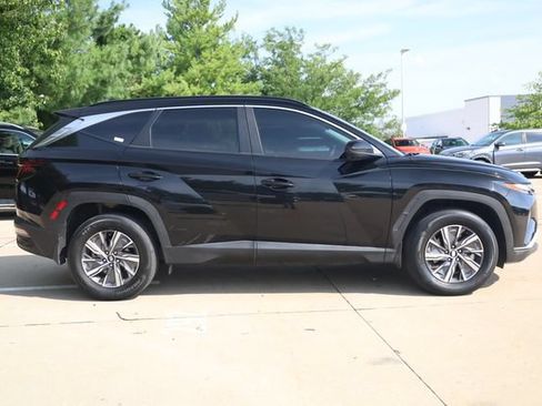 Used 2024 Hyundai Tucson Blue AWD/4WD image 3