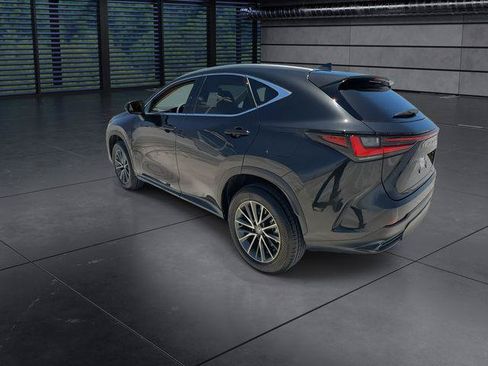 Certified 2025 Lexus NX 350h AWD w/ Cold Area Package image 6