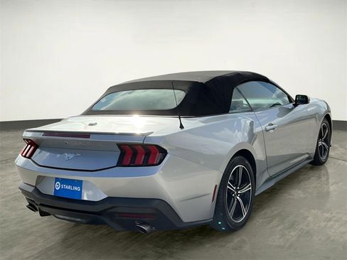 Certified 2024 Ford Mustang Premium image 8