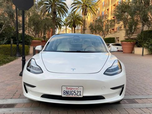 Used 2019 Tesla Model 3 Standard Range Plus RWD image 4
