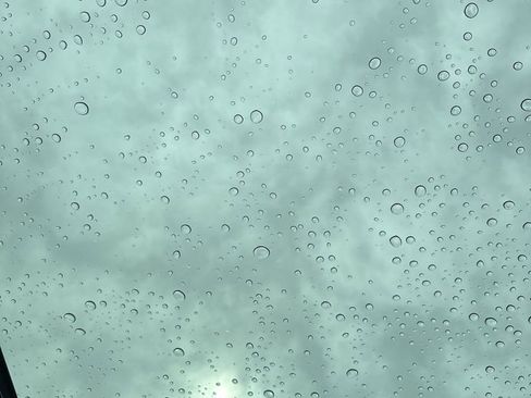 New 2025 Hyundai Palisade Calligraphy image 35