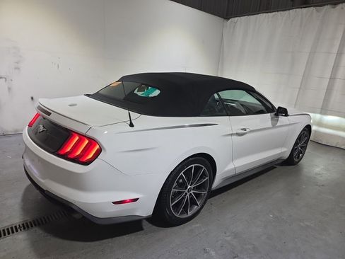 Used 2019 Ford Mustang Premium w/ Equipment Group 201A RWD image 2