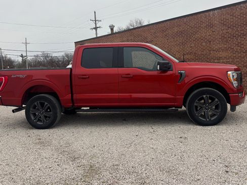 Certified 2023 Ford F150 XLT w/ Equipment Group 302A High image 2