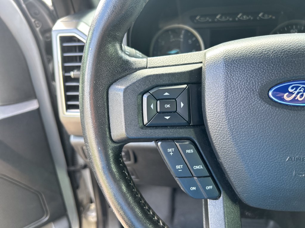 Used 2019 Ford F150 XLT w/ Equipment Group 302A Luxury AWD/4WD image 21