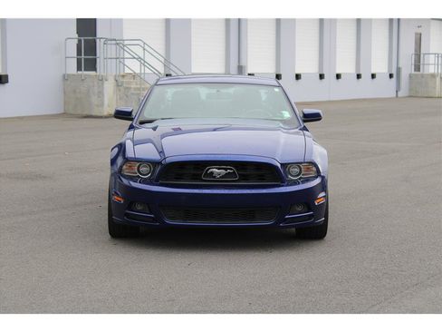 Used 2014 Ford Mustang Premium w/ Equipment Group 202A image 5