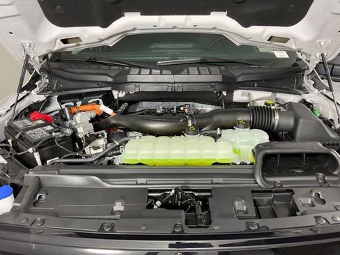 New 2025 Ford F150 XLT w/ Equipment Group 302A MID image 9