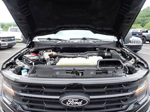 Used 2025 Ford F150 XLT w/ Equipment Group 303A High AWD/4WD image 16