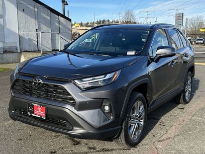 New 2025 Toyota RAV4 XLE Premium