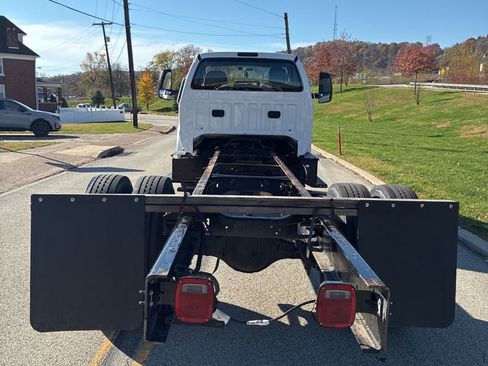 Used 2019 Ford F650 2WD Regular Cab Super Duty image 11