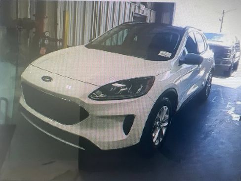 Used 2022 Ford Escape SE w/ Convenience Package FWD image 1