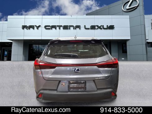 Used 2020 Lexus UX 250h w/ Premium Package image 3