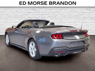 Used 2026 Ford Mustang Premium RWD video 3