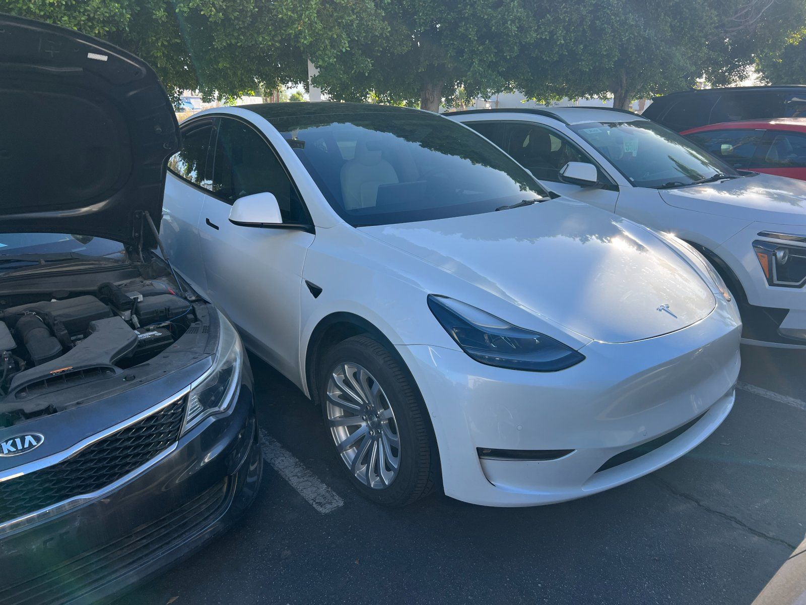 Used 2022 Tesla Model Y Long Range AWD/4WD image 2