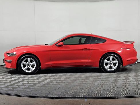 Used 2019 Ford Mustang Coupe image 3