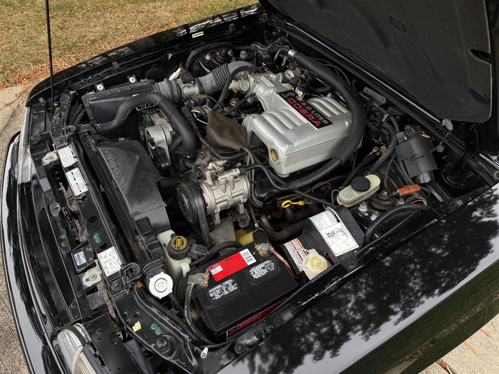 Used 1993 Ford Mustang Cobra RWD image 85