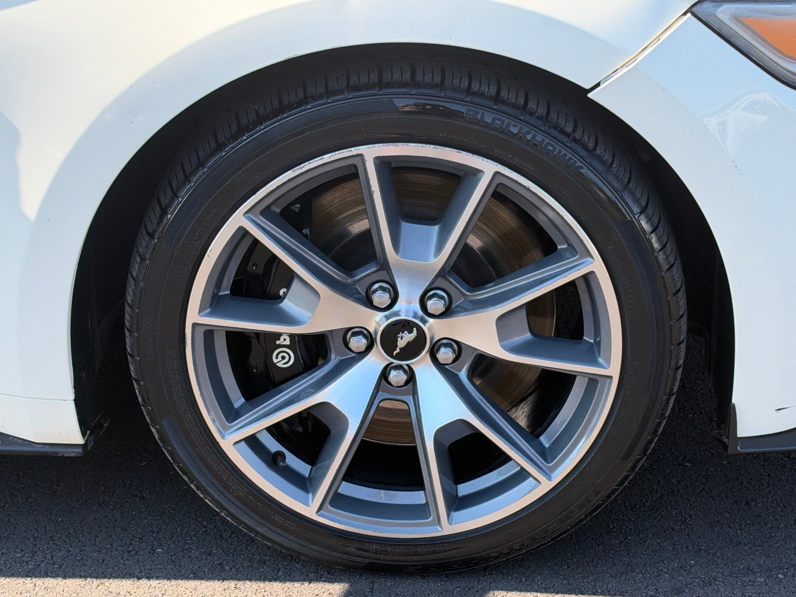 Used 2015 Ford Mustang 50 Years RWD image 12
