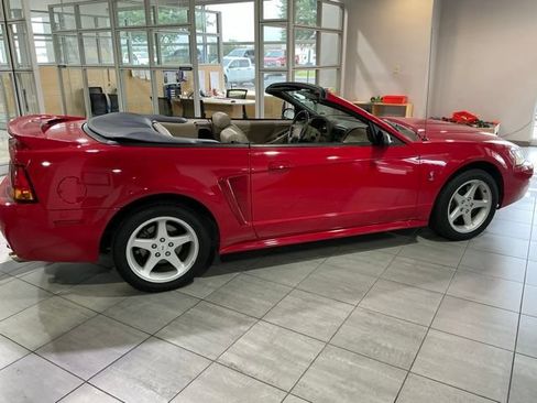Used 1999 Ford Mustang Cobra RWD image 3