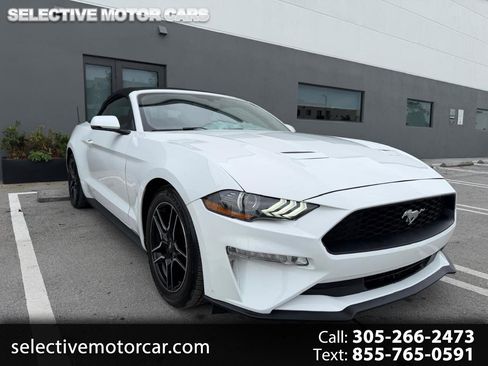 Used 2019 Ford Mustang Premium RWD image 1