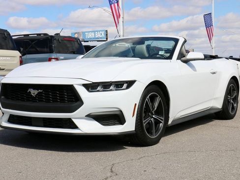 Used 2024 Ford Mustang Premium image 1