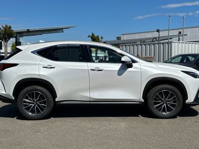 Certified 2025 Lexus NX 350h AWD w/ Cold Area Package