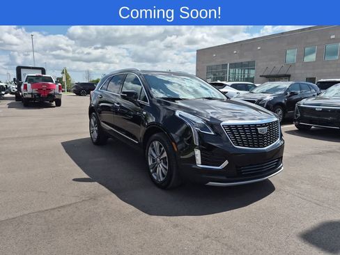 Used 2024 Cadillac XT5 Premium Luxury AWD/4WD image 8
