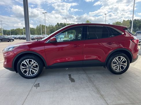 Certified 2022 Ford Escape SEL image 4