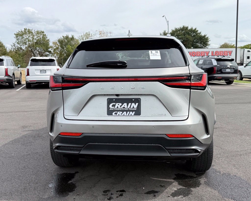 Used 2024 Lexus NX 250 FWD w/ Cold Area Package image 6