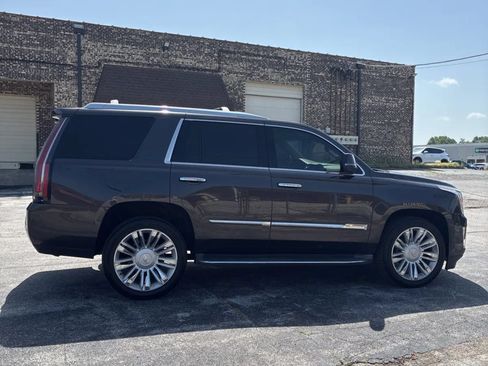 Used 2015 Cadillac Escalade Platinum AWD/4WD image 10