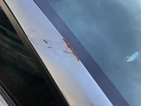 Used 2012 Hyundai Elantra Limited w/ Technology Pkg 5 image 29