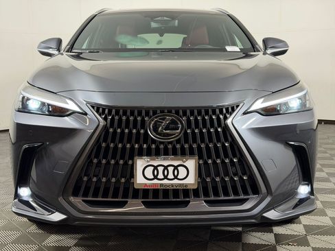 Used 2024 Lexus NX 350h AWD image 6