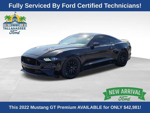 Used 2022 Ford Mustang GT Premium w/ Equipment Group 401A image 1