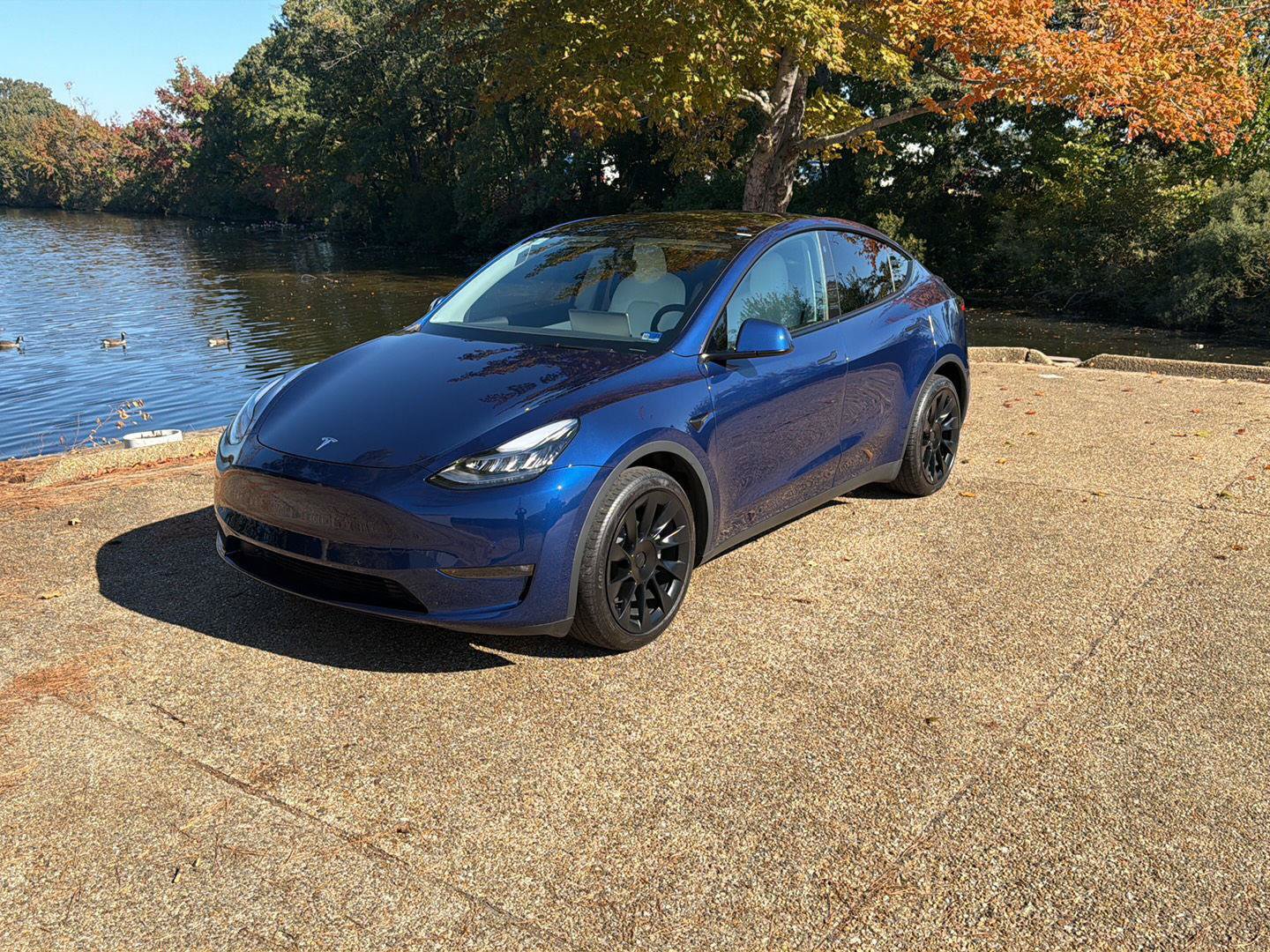 Used 2022 Tesla Model Y Long Range AWD/4WD image 11