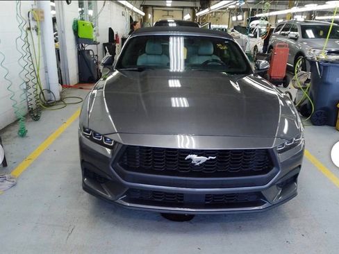 Used 2024 Ford Mustang Premium RWD image 3