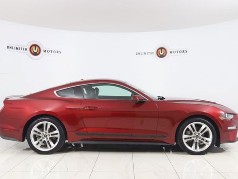 Used 2019 Ford Mustang Premium w/ Pony Package RWD image 2