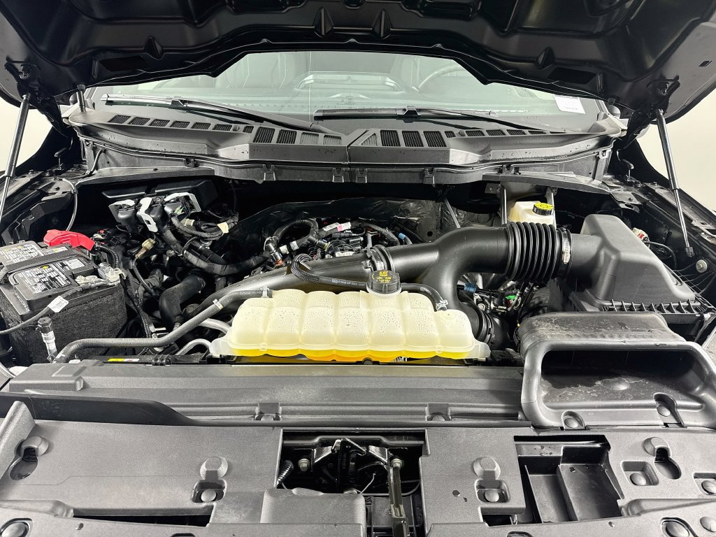 Used 2025 Ford F150 STX w/ Equipment Group 200A RWD image 30