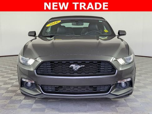 Used 2016 Ford Mustang Premium RWD image 8