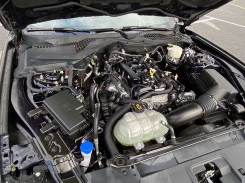 Used 2021 Ford Mustang Premium image 19