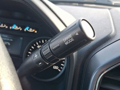 Used 2019 Ford F150 XLT w/ Equipment Group 302A Luxury image 14