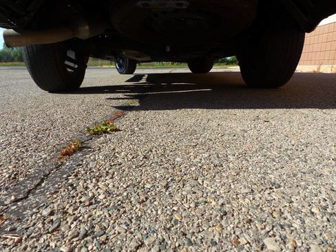 Used 2024 Toyota Tundra SR5 w/ TRD Sport Premium Package image 9