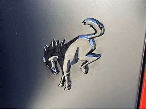 New 2025 Ford Bronco Stroppe Edition image 42