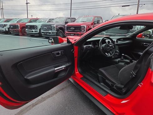 Used 2017 Ford Mustang Coupe w/ Ecoboost Performance Package RWD image 7