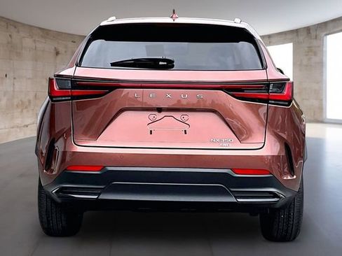 Used 2025 Lexus NX 350 AWD w/ Cold Area Package image 6