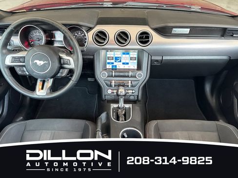 Used 2019 Ford Mustang GT w/ Equipment Group 301A RWD image 5