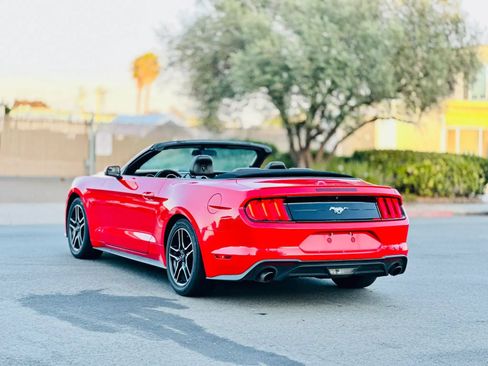 Used 2019 Ford Mustang Premium RWD image 4