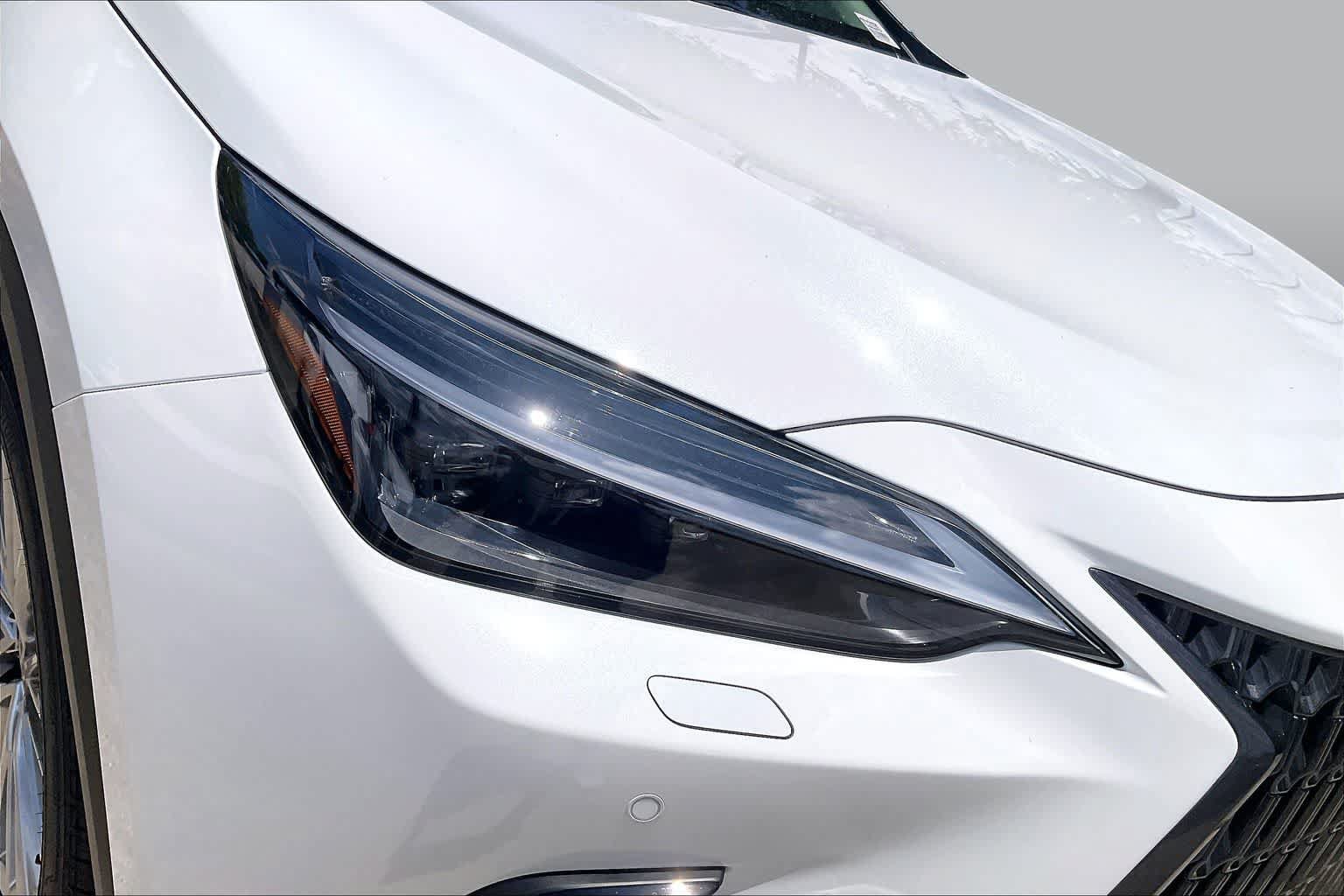 New 2026 Lexus NX 350 AWD w/ Luxury Package image 19