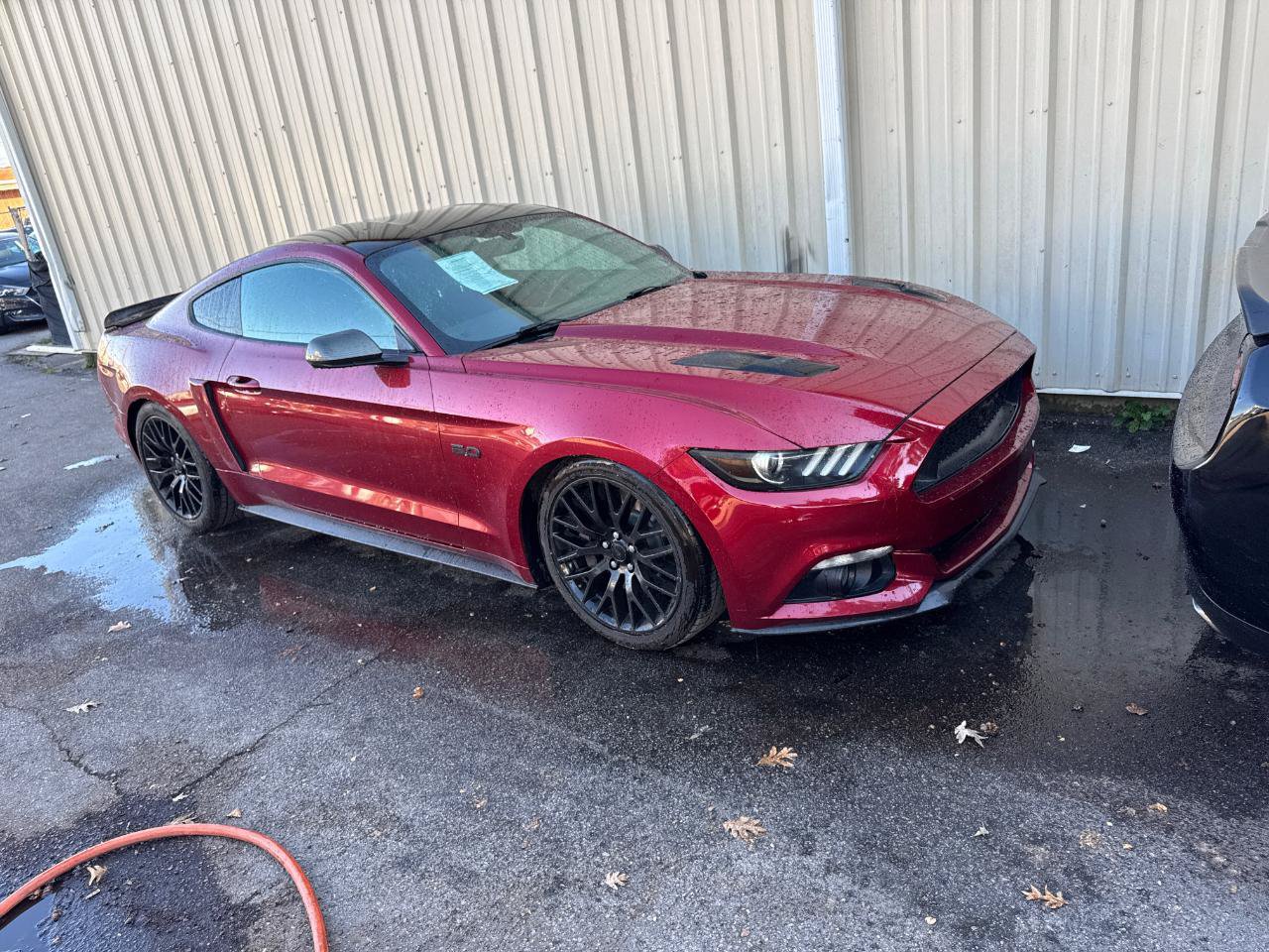 Used 2017 Ford Mustang GT w/ GT Performance Package RWD image 2