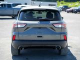 Used 2022 Ford Escape SE w/ SE Sport Appearance Package image 6