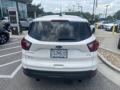 Used 2019 Ford Escape SEL AWD/4WD image 6